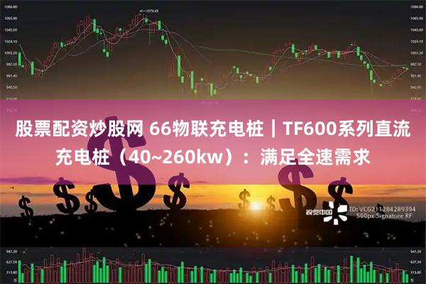 股票配资炒股网 66物联充电桩｜TF600系列直流充电桩（40~260kw）：满足全速需求