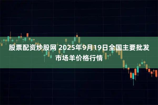 股票配资炒股网 2025年9月19日全国主要批发市场羊价格行情