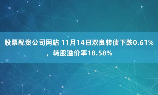 股票配资公司网站 11月14日双良转债下跌0.61%，转股溢价率18.58%